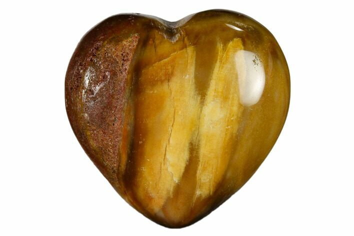 Polished, Triassic Petrified Wood Heart - Madagascar #115520